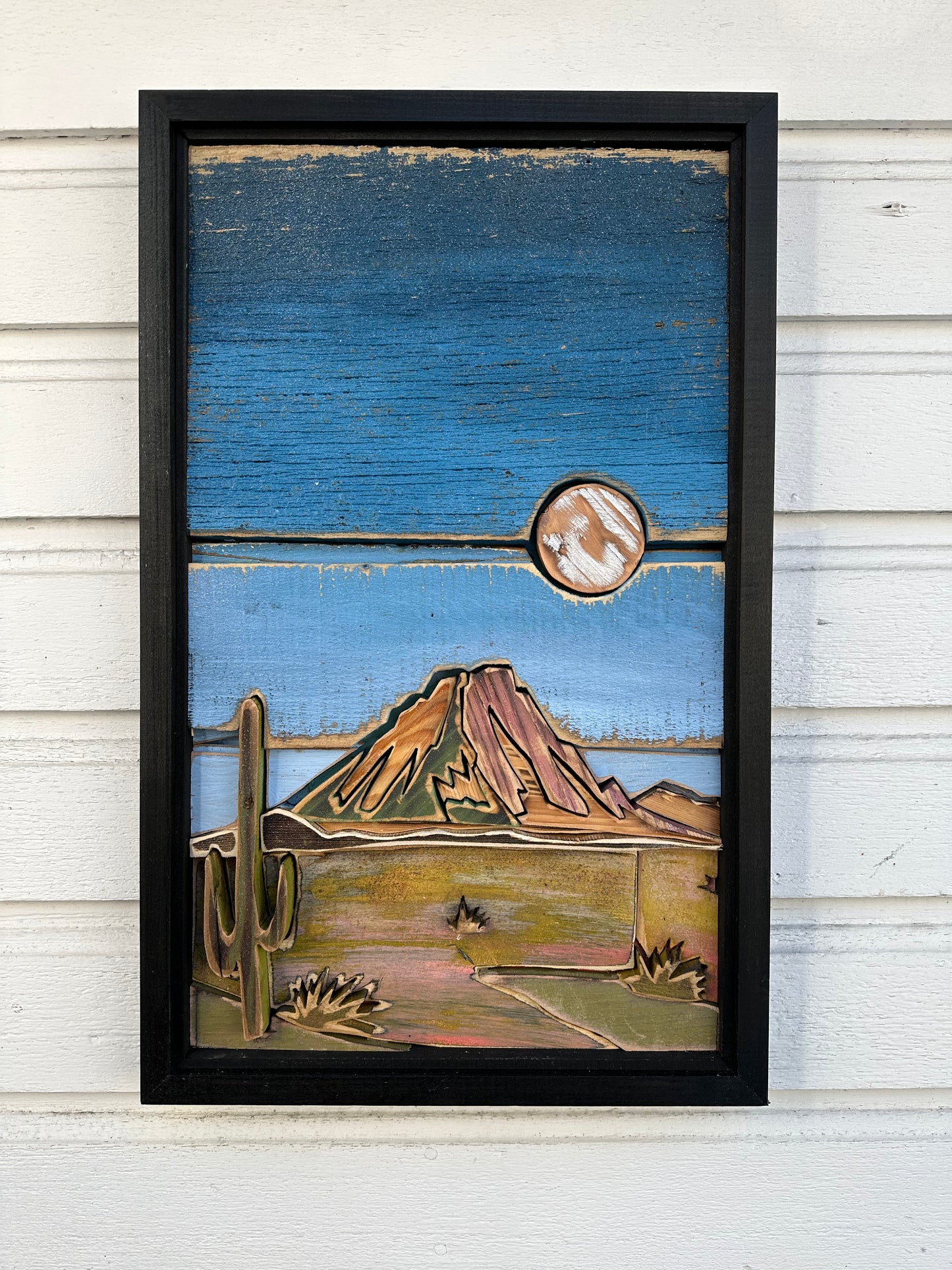 Sonoran Desert