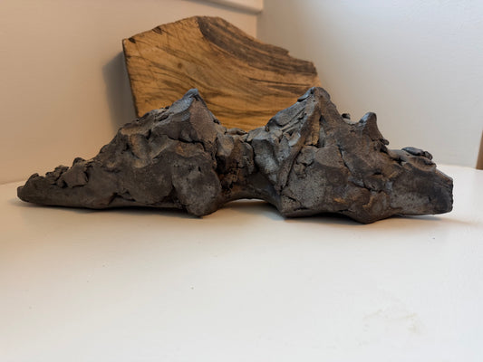 Wood Fired Mountains